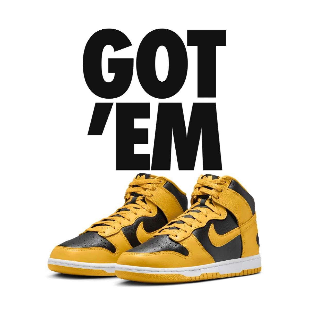 新品 27.0 cm US 9 Wu-Tang Clan × Nike Dunk High Retro PRM 新品 27.0 cm US 9 Wu-Tang Clan × Nike Dunk High Retro PRM