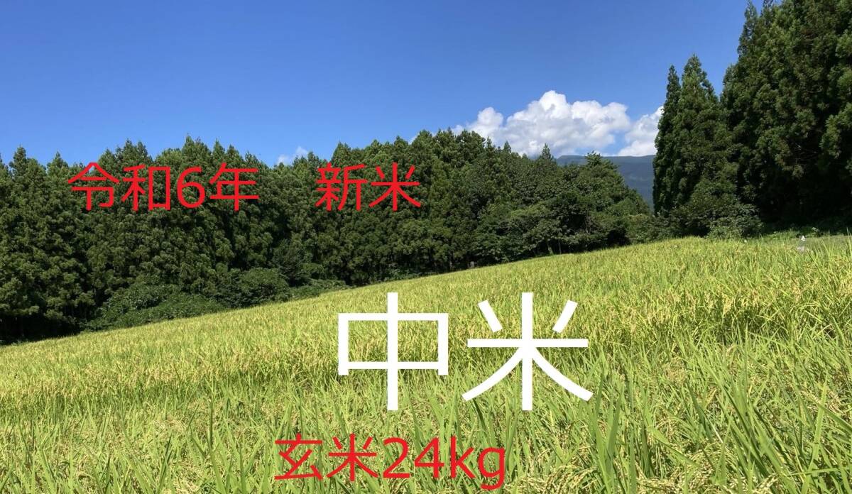 令和6年度【中米】　山形庄内産　ひとめぼれ　中山間棚田有機栽培　玄米24kg　01