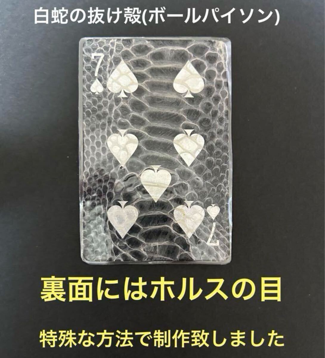 白蛇の抜け殻 蛇の抜け殻 ホルスの目 開運 金運 魔除け 家内安全 白蛇の抜け殻 蛇の抜け殻 ホルスの目 開運 金運 魔除け 家内安全