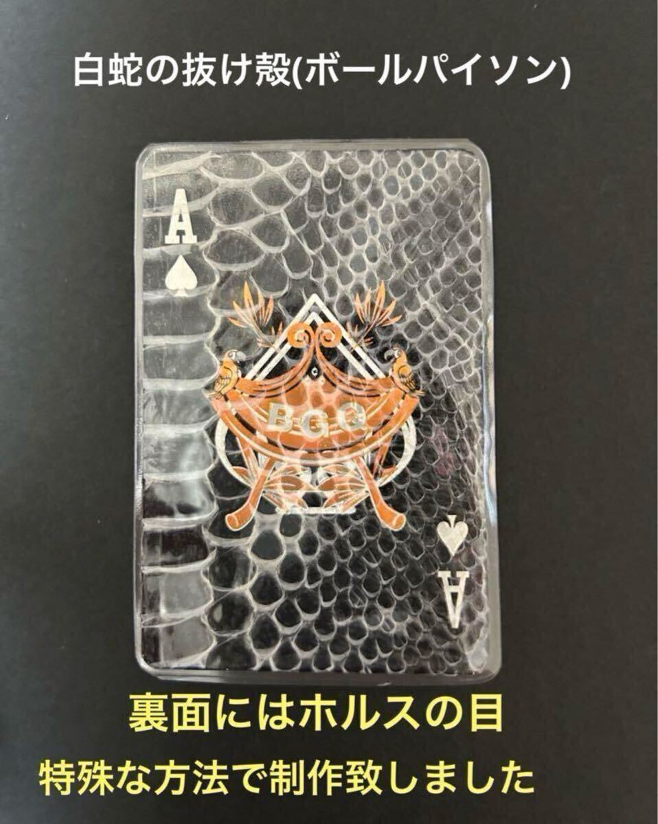 白蛇の抜け殻 蛇の抜け殻 ホルスの目 開運 金運 魔除け 家内安全 白蛇の抜け殻 蛇の抜け殻 ホルスの目 開運 金運 魔除け 家内安全