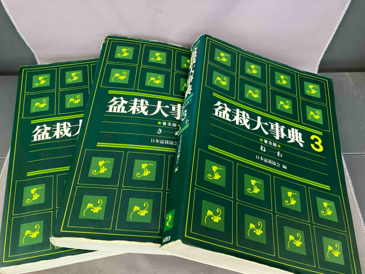 中古品】大野真依 写真集 「mai dreaming」(おまけつき) 中古品】大野真依 写真集 「mai dreaming」(おまけつき)
