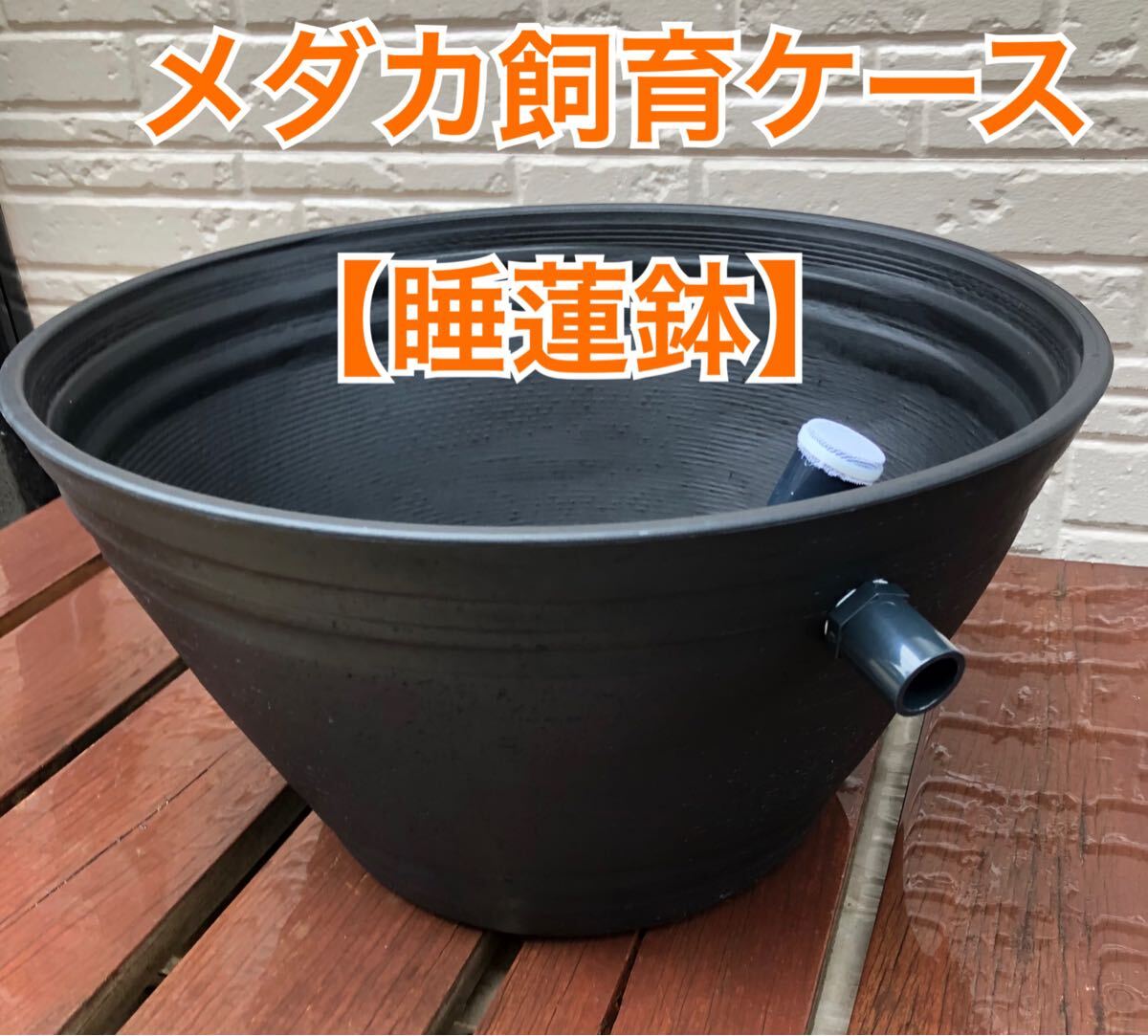メダカ飼育ケース　睡蓮鉢タイプ