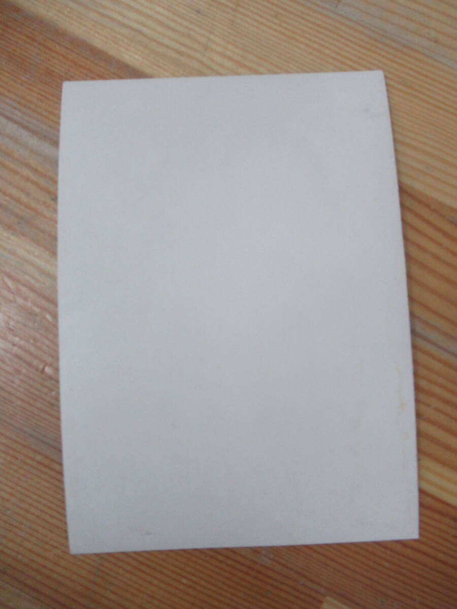 B60*.. дуть снег фотографии звезд '75li носорог taru память карточка для автографов, стихов, пожеланий комплект Chanson life photograph Takarazuka ... Mai шт. женщина super 241107