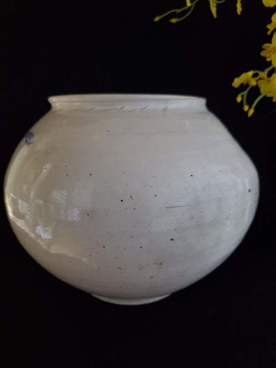 【李朝特集出品】李朝青華白磁壺- 李朝19世紀 李朝特集出品】李朝青華白磁壺- 李朝19世紀 - メルカリ