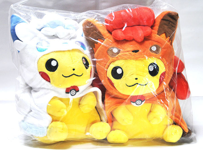 タグ付保管品] ポケモンセンター限定 アローラロコンポンチョ