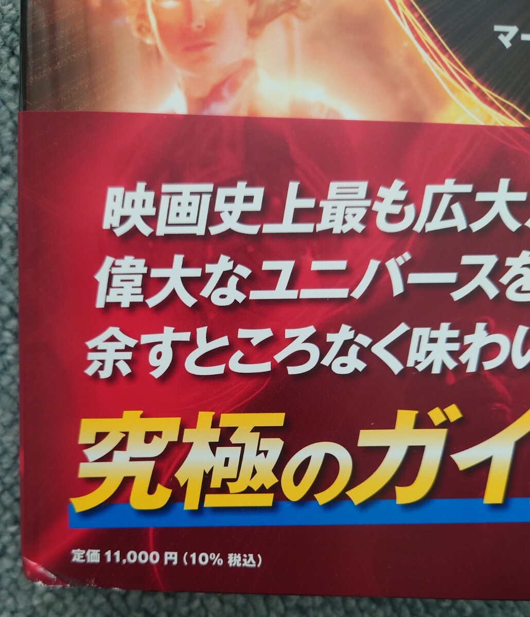 傷・痛み有】マーベル・シネマティック・ユニバース 公式タイム