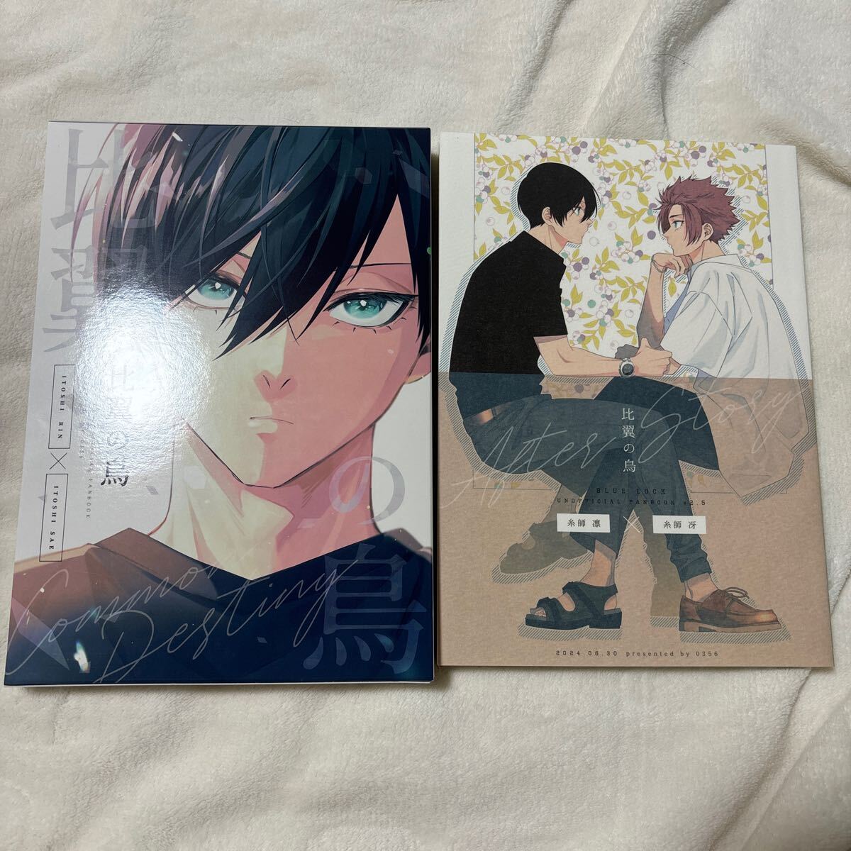 ブルーロック 同人誌 糸師凛×糸師冴 凛冴 比翼の鳥 After Story ブルーロック 同人誌 糸師凛×糸師冴 凛冴 比翼の鳥 After Story