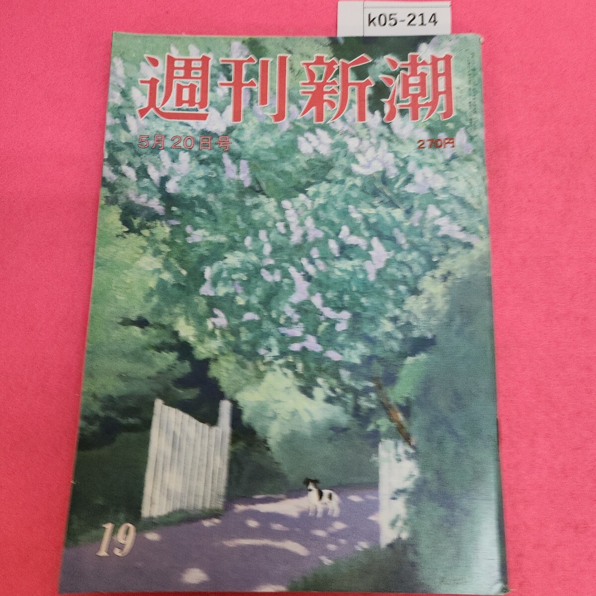 k05-214 週刊新潮 平成5年5月20日号