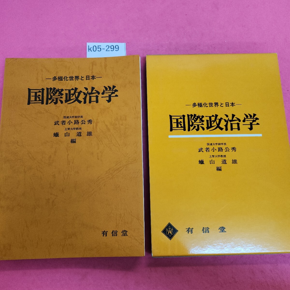 k05-299 国際政治学 武者小路公秀他編 有信堂 書き込み多数あり。