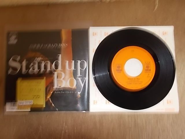 epg3790　EP放送局見(jiàn)本盤(pán)　【A-A不良T-有】　白井貴子＆CRAZY BOYS/Stand Up Boy