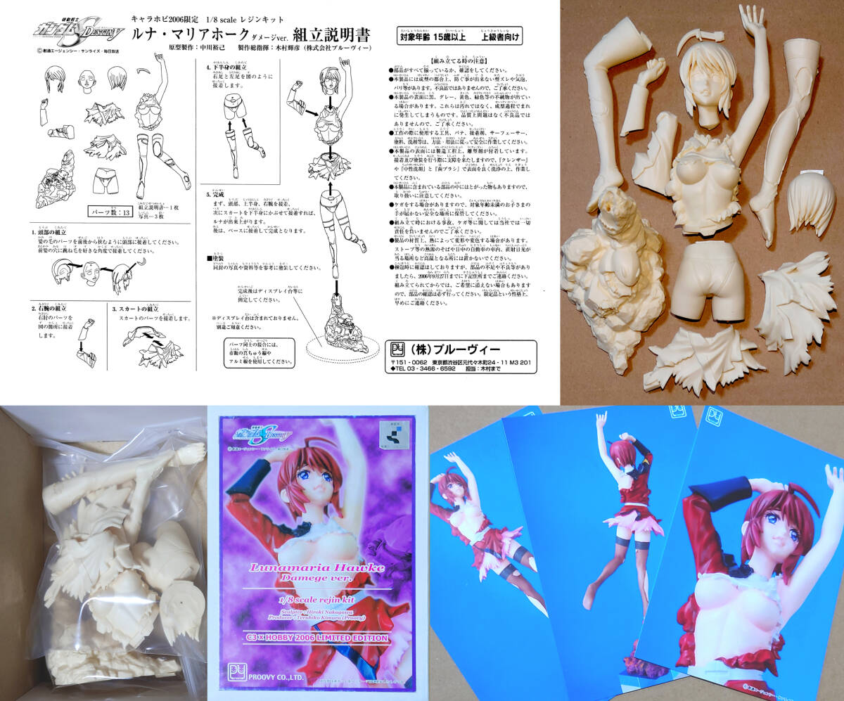 キャラホビ2006限定　1/8 ルナマリア・ホーク　凌辱　ダメージVer.　ガンダム　SEED　ワンフェス　ガレージキット　ガレキ レジン_画像2