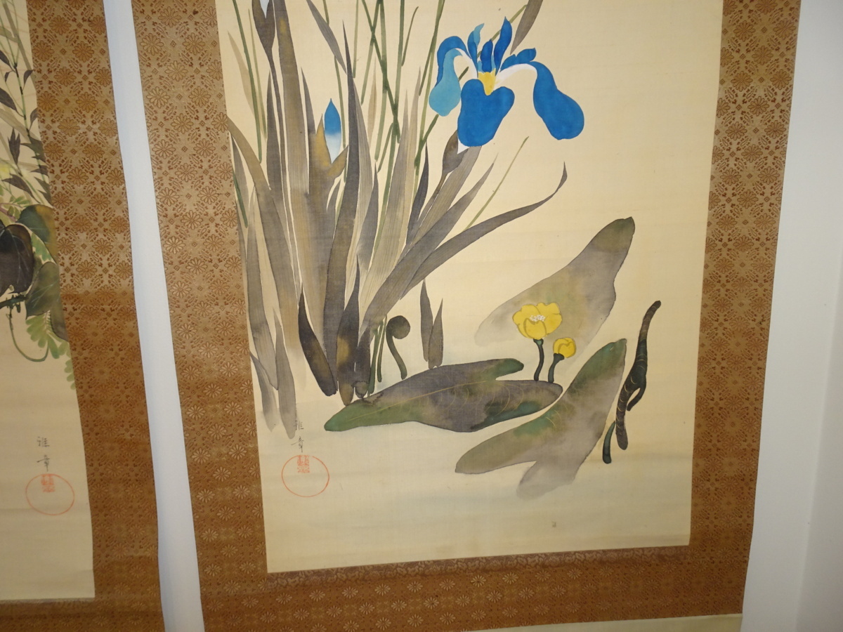 真作/(画)白雲/(賛)関精拙/菊花画賛/桐共箱付/布袋屋掛軸HH-311 真作】/(画)白雲/(賛)関精拙/菊花画賛/桐共箱付/布袋屋掛軸