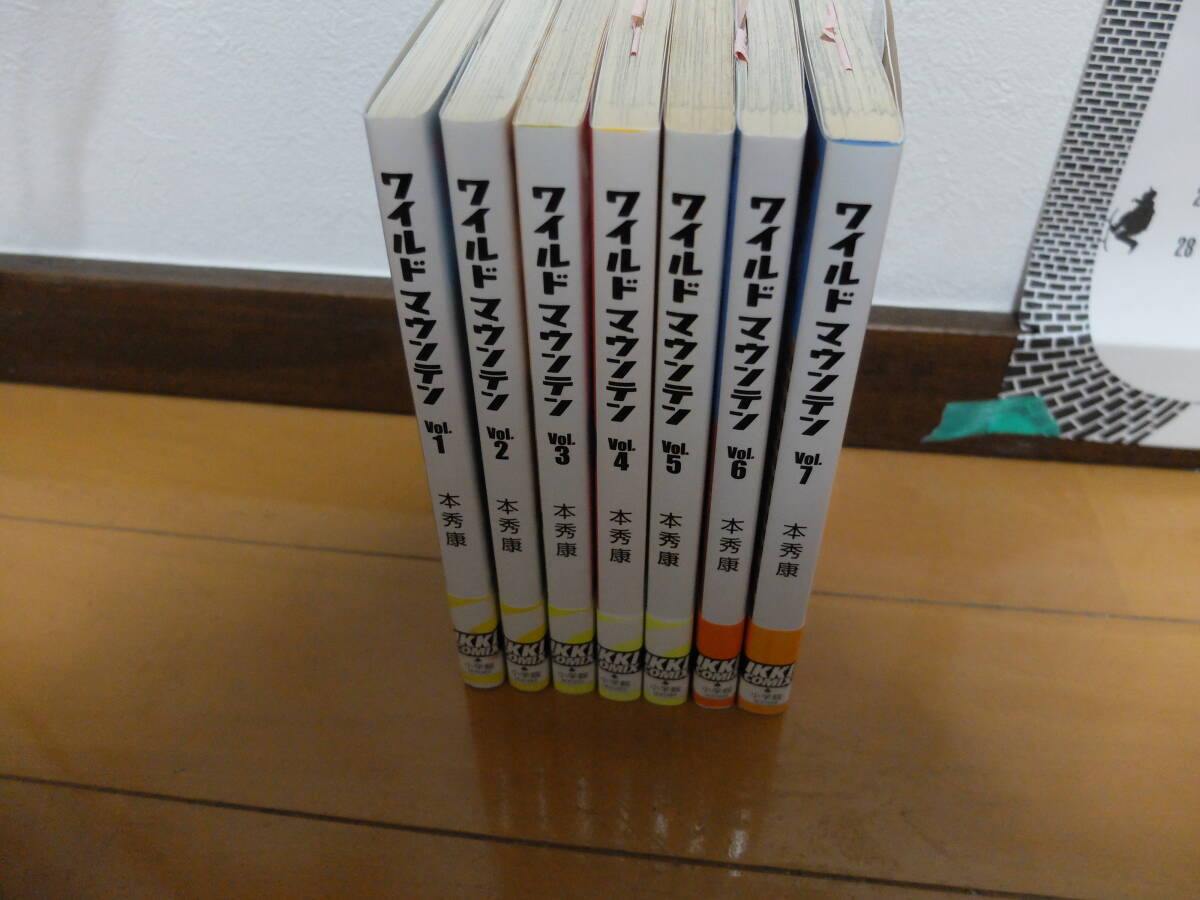 印象のデザイン ワイルドマウンテン IKKI 本秀康 レコード 中野ブロードウエイ 漫画 コミック まんが サイン付き レア 貴重 青年