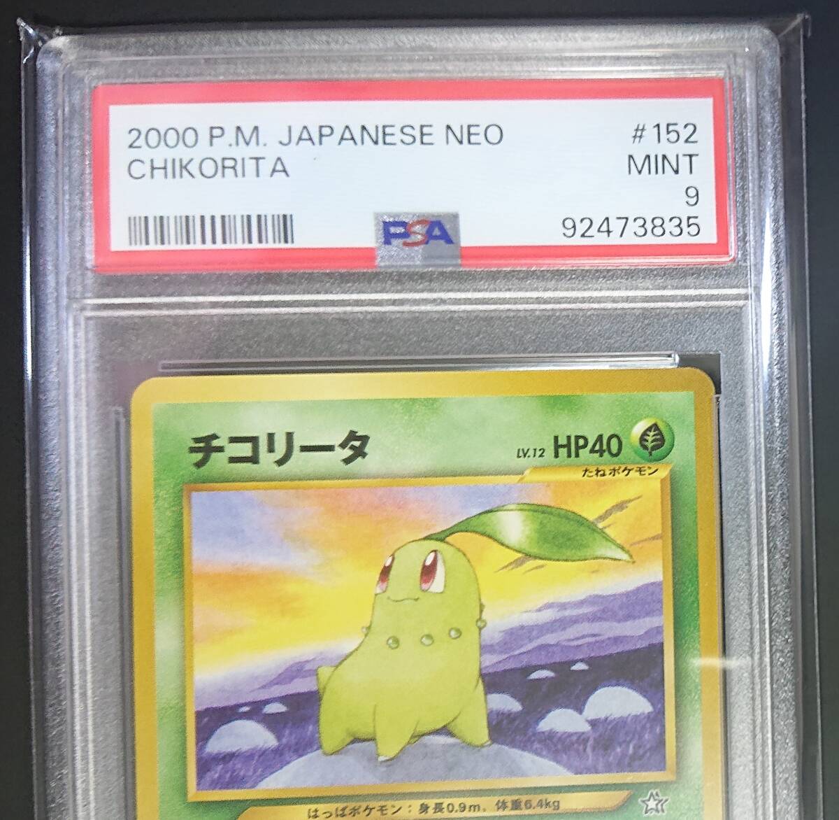 PSA9　チコリータ　旧裏　ポケモンカード　neo 旧裏面　美品　ベイリーフ、メガニウムに進化　御三家　Chikorita
