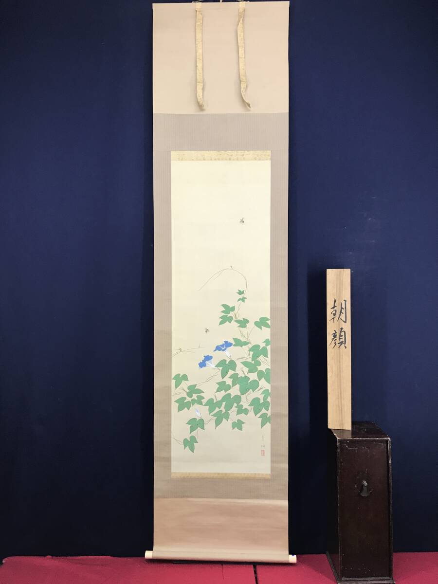 青岫/朝顔図/花図/夏の花/掛軸☆宝船☆AH-681 日本画 青岫/朝顔図/花図/夏の花/掛軸☆宝船☆AH-681 日本画