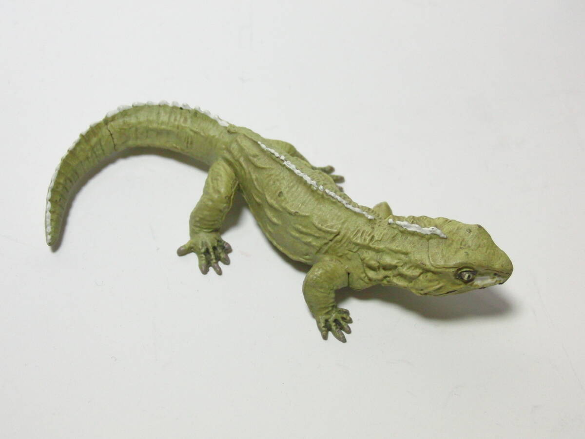 UHA тест . сахар Chocolasaurs DINOTALES no. 2 серии Secret [mkasi ящерица ] Kaiyodo динозавр * старый плата живое существо фигурка коллекция 
