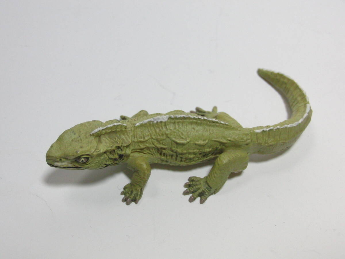 UHA тест . сахар Chocolasaurs DINOTALES no. 2 серии Secret [mkasi ящерица ] Kaiyodo динозавр * старый плата живое существо фигурка коллекция 