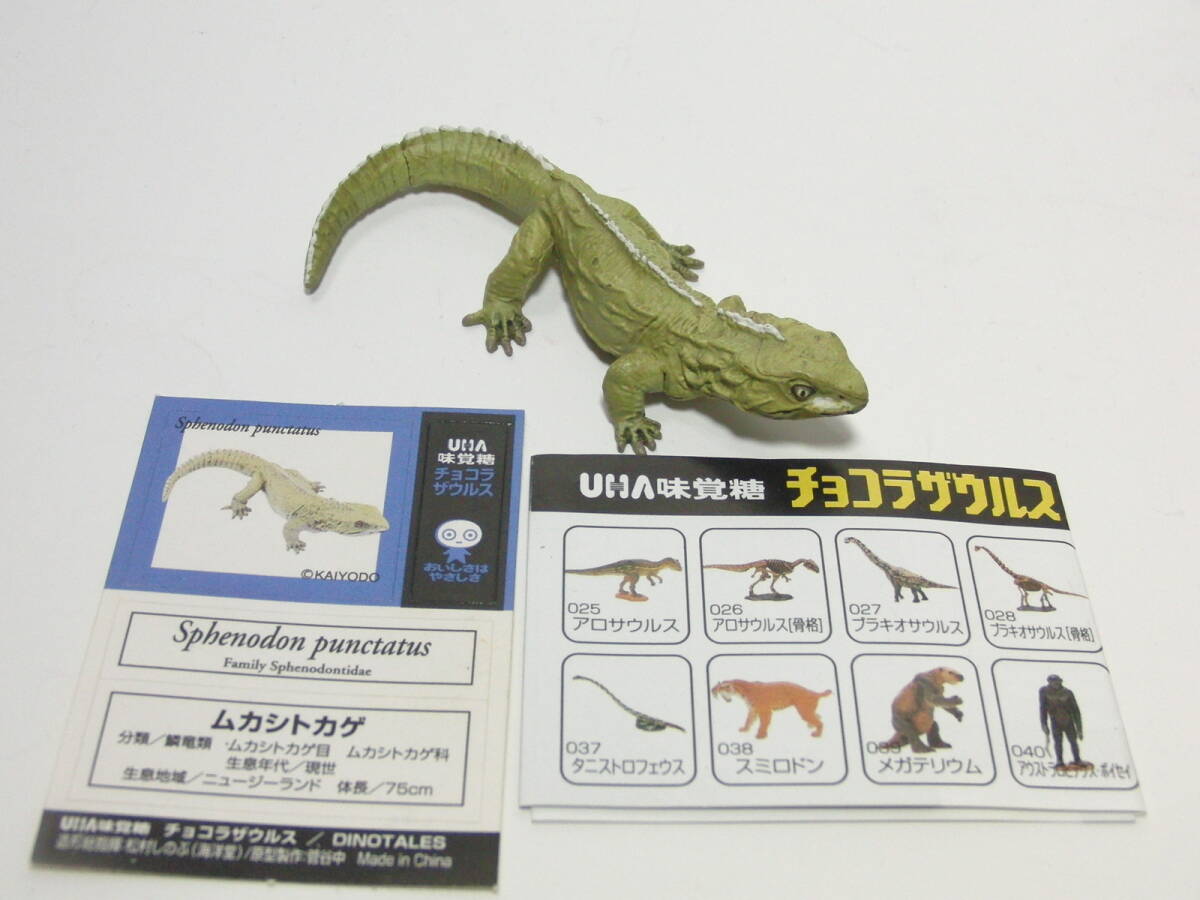 UHA тест . сахар Chocolasaurs DINOTALES no. 2 серии Secret [mkasi ящерица ] Kaiyodo динозавр * старый плата живое существо фигурка коллекция 