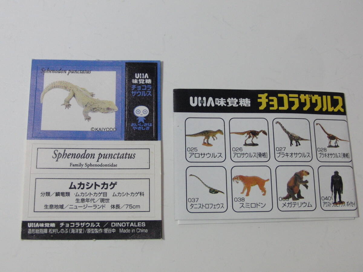 UHA тест . сахар Chocolasaurs DINOTALES no. 2 серии Secret [mkasi ящерица ] Kaiyodo динозавр * старый плата живое существо фигурка коллекция 