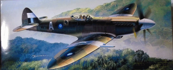 フジミ/1/72/イギリス空軍スーパーマリン・スピットファイアMk.14E写真偵察機/戦闘機/未組立品