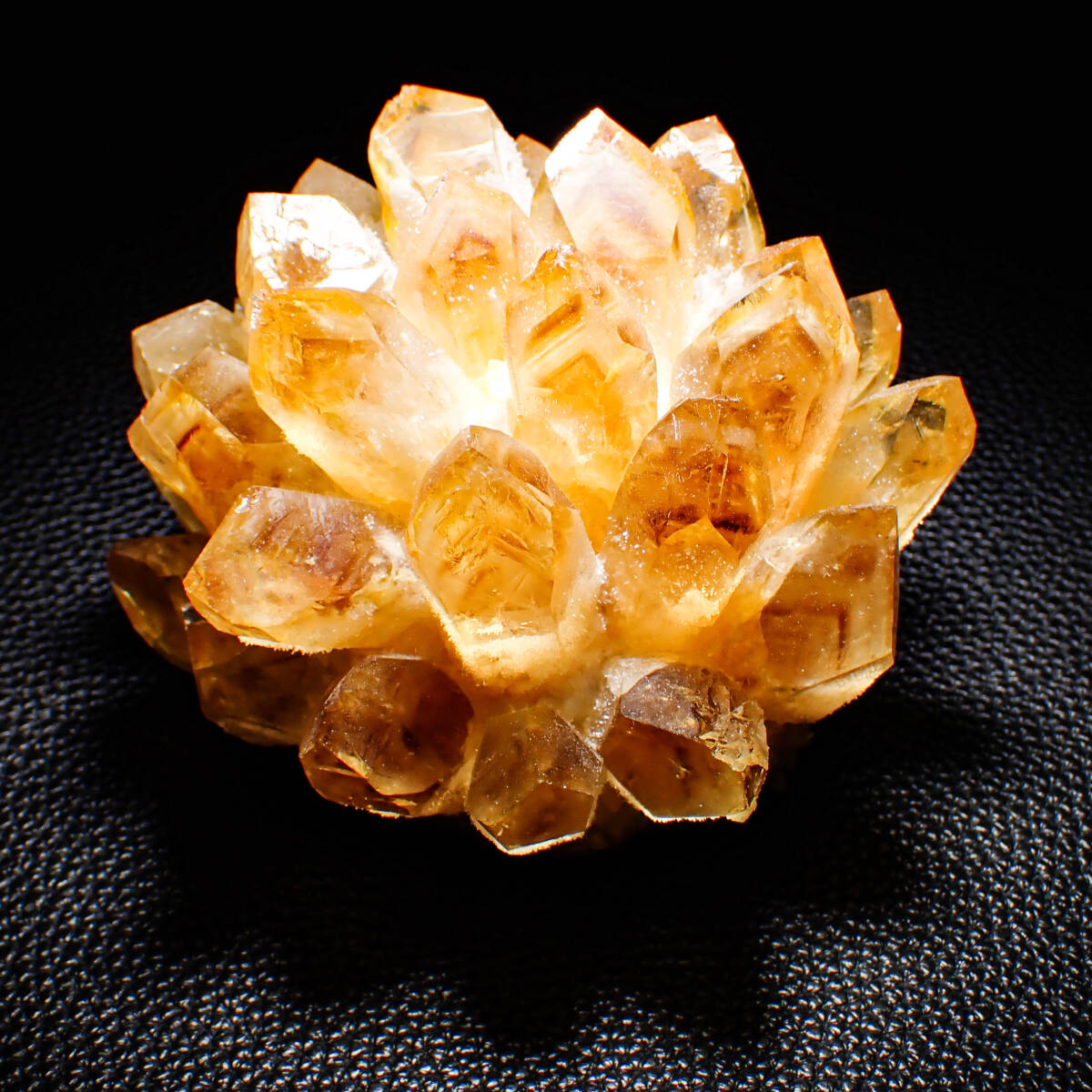 中国古陶磁器 明末清初瑠璃釉金彩皿餅花手 径約25cm 付属なし