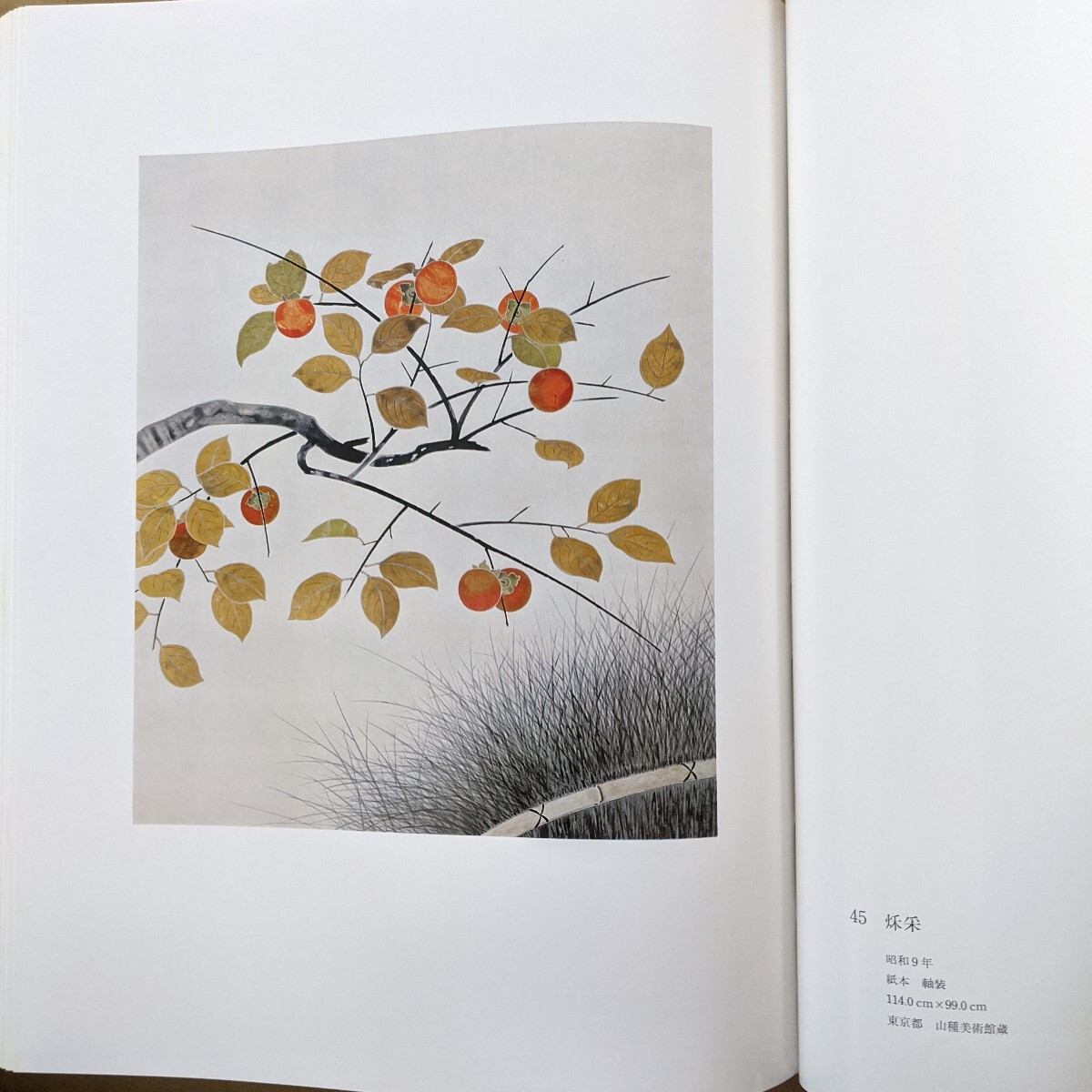 小林古径画集(限定) 朝日新聞社 画集・作品集 小林古径画集(限定) 朝日新聞社 画集・作品集