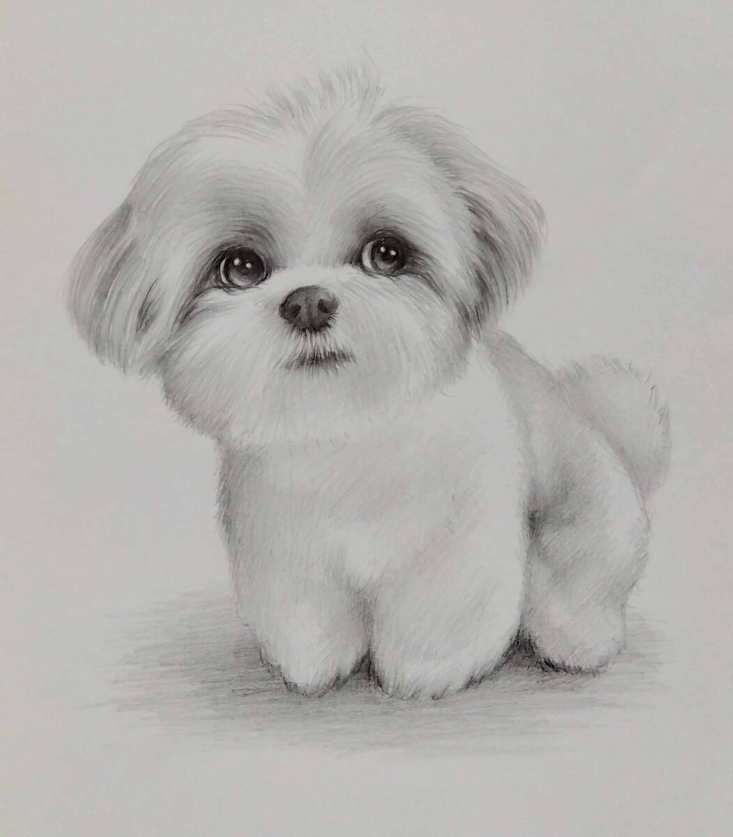  picture * pencil sketch love dog. . genuine work [ She's -*papi-ASQ-31] Atelier809 work B5 size * picture frame less.