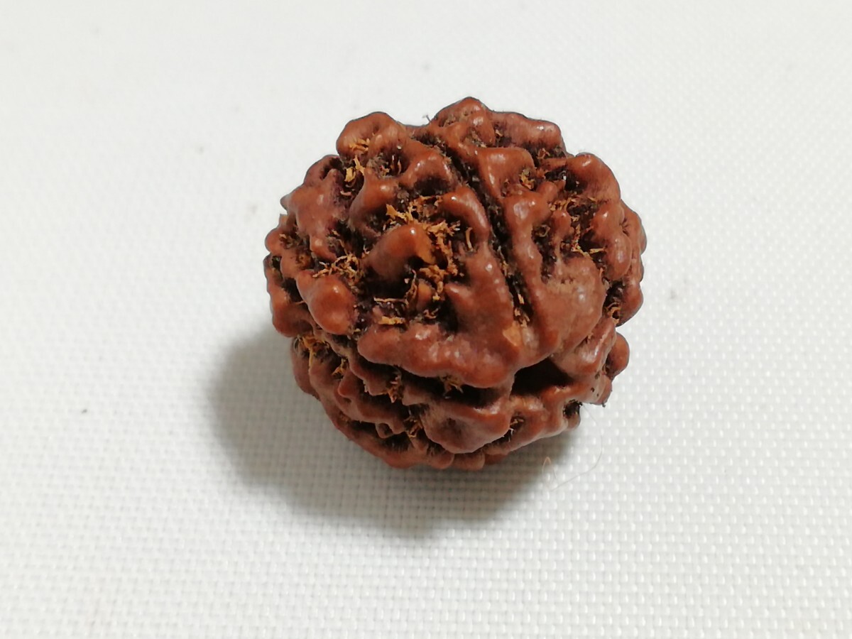 天然　菩提樹　まとめて　110玉　11461
