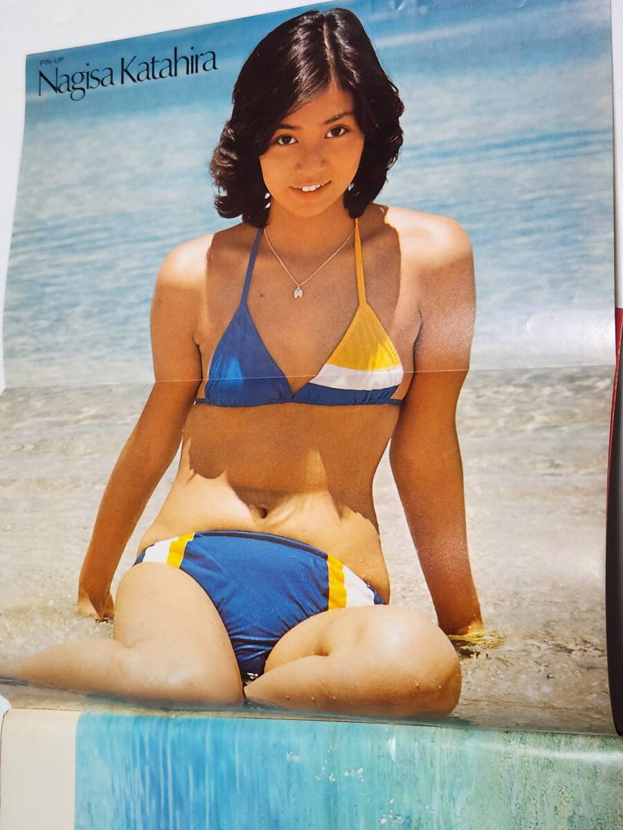 Amazon.co.jp: S3139 プレイボーイ 1976年 昭和51年 9.7 No36 Amazon.co.jp: S3139 プレイボーイ 1976年 昭和51年 9.7 No36