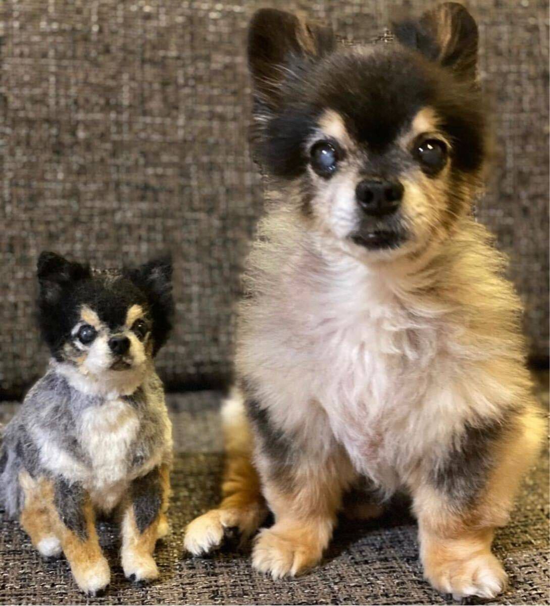 Yahoo!オークション - 羊毛フェルト 犬 愛犬のオーダー制作を Yahoo!オークション - 羊毛フェルト 犬 愛犬のオーダー制作を