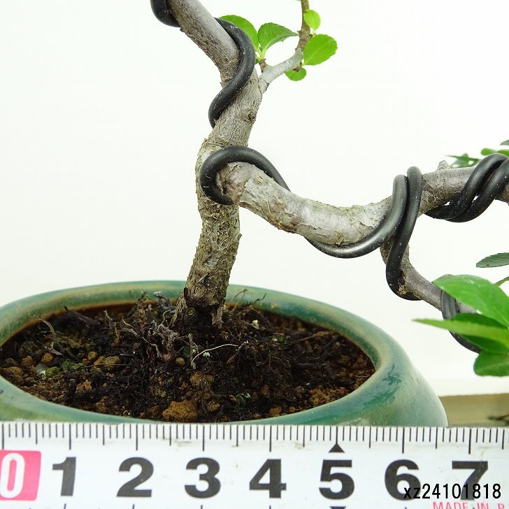 item_image_5