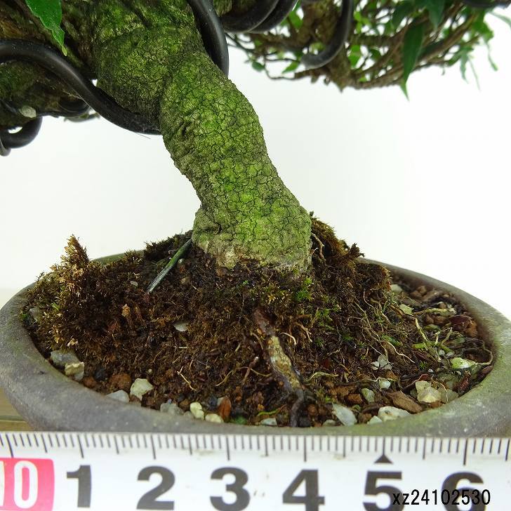 item_image_5