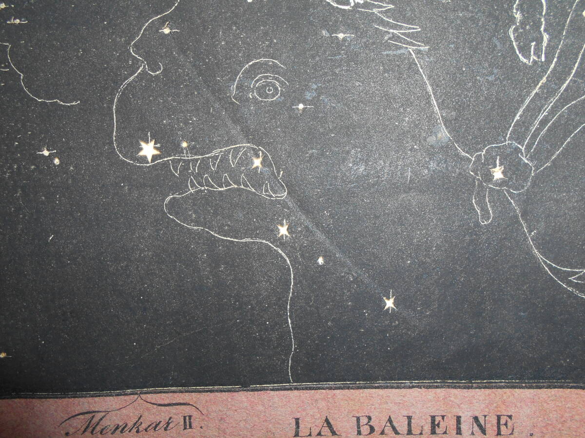 超稀少即決1826年『スイス製星座カード第13図おひつじ座他』天球 超稀少即決1826年『スイス製星座カード第13図おひつじ座他』天球