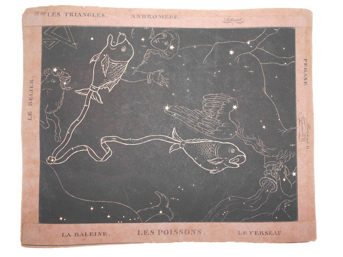 超稀少即決1826年『スイス製星座カード第22図うお座他』天球図 超稀少即決1826年『スイス製星座カード第22図うお座他』天球図