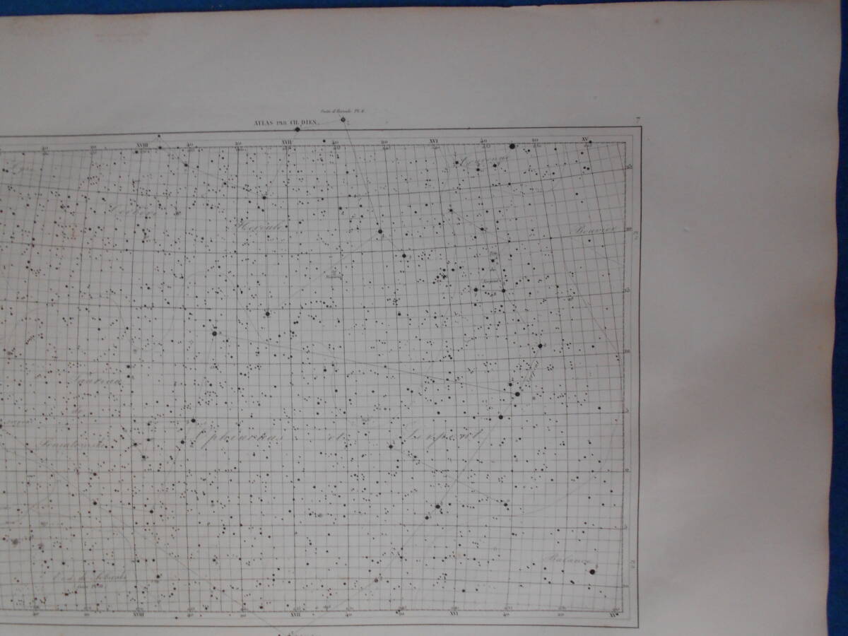 即決1913年『フラマリオン星図7』天球図、天文アンティーク 星図、フランス星座早見盤Astronomy, Star map, Planisphere, Celestial atlas