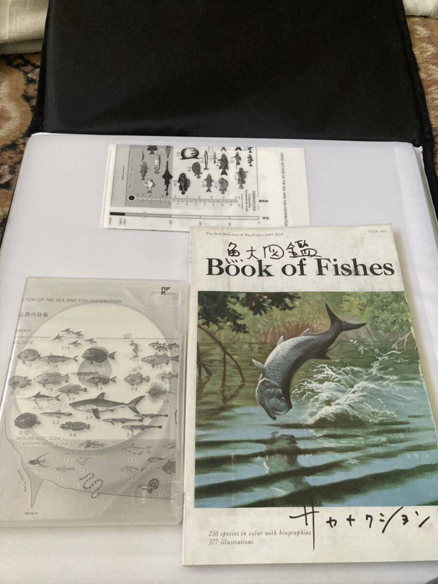サカナクション CD 魚図鑑(完全生産限定プレミアムBOX サカナクション CD 魚図鑑(完全生産限定プレミアムBOX