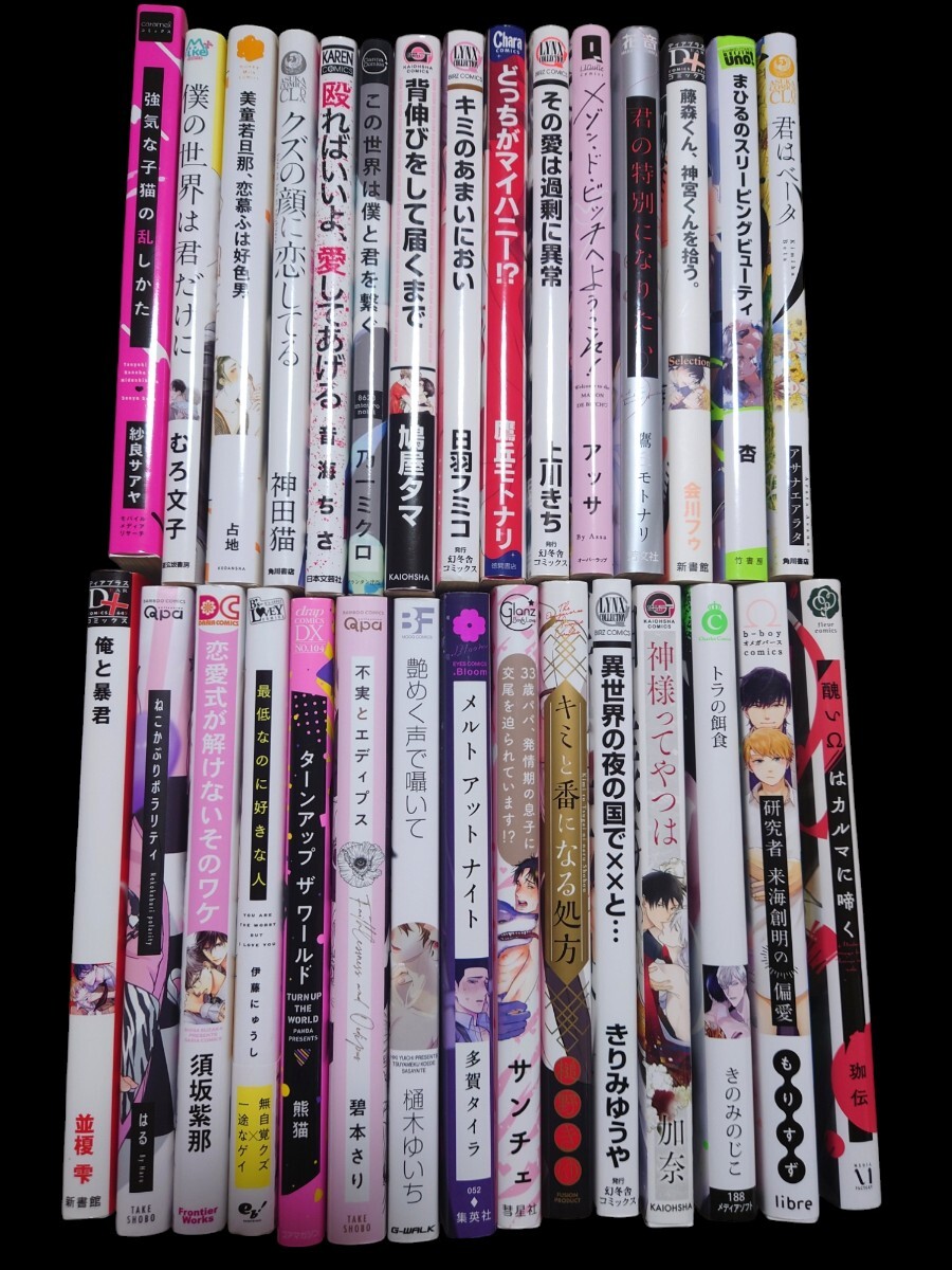 2020年 2019年発売 BLコミック ボーイズラブ 単行本 読み切り 30冊セット まとめ売り 商業誌
