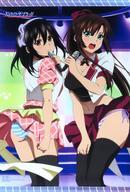 タペストリー 姫柊雪菜&煌坂紗矢華 B2タペストリー 「Blu-ray/DVD タペストリー 姫柊雪菜&煌坂紗矢華 B2タペストリー 「Blu-ray/DVD