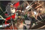 中古抱き枕カバー・シーツ・ブランケット 飛鳥(新乳祭) タオルケット 「シノビマスター 閃乱カグラ NEW LINK」