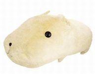 中古ぬいぐるみ もふっと等身大ホワイトさん ぬいぐるみ 「カピバラさん」