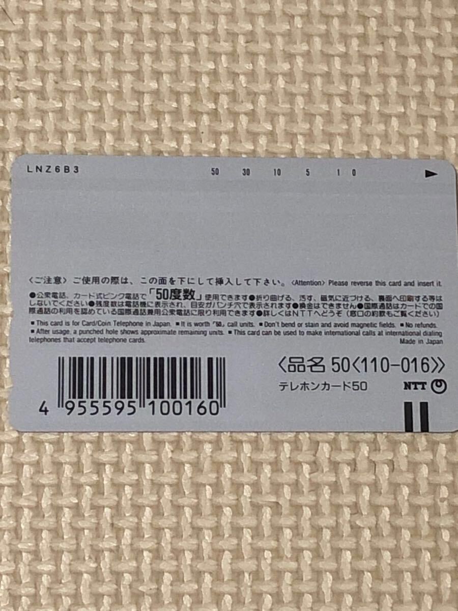 【未使用】テレカ　ポケモン　_画像2