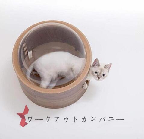 人気推薦 ★貓 キャットウォーク キャットステップ ベッド ハウス 壁付け 天然木 宇宙