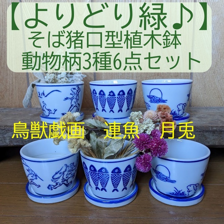 そば猪口型植木鉢 動物柄3種6点セット SU6-4 多肉植物 鳥獣戯画 連魚 月兎