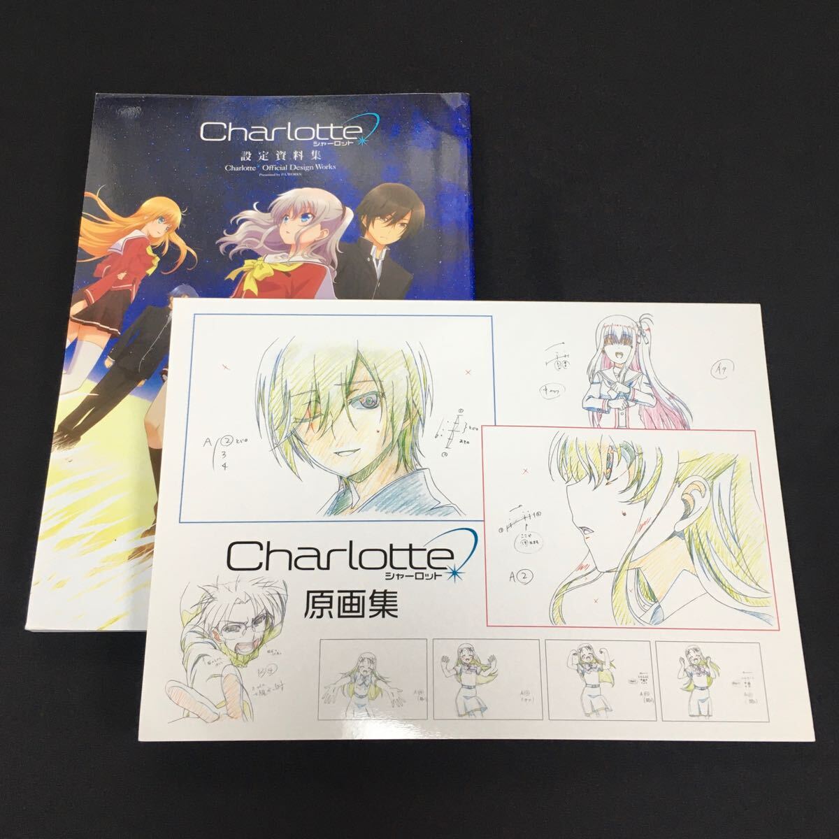 Charlotte シャーロット 原画集 設定資料集 ミニファンブック Charlotte シャーロット 原画集 設定資料集 ミニファンブック