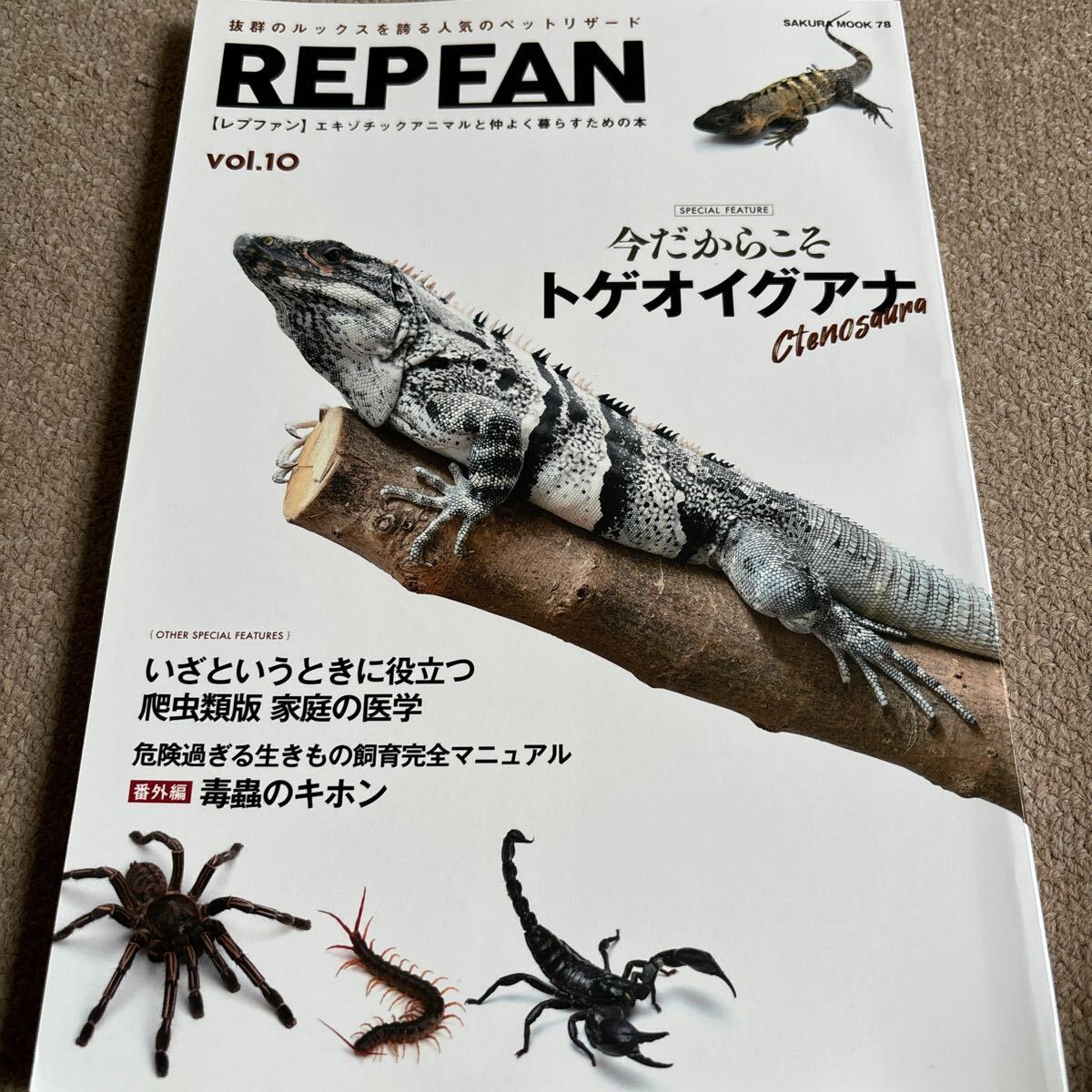 【送料込み】レプファン　vol.10