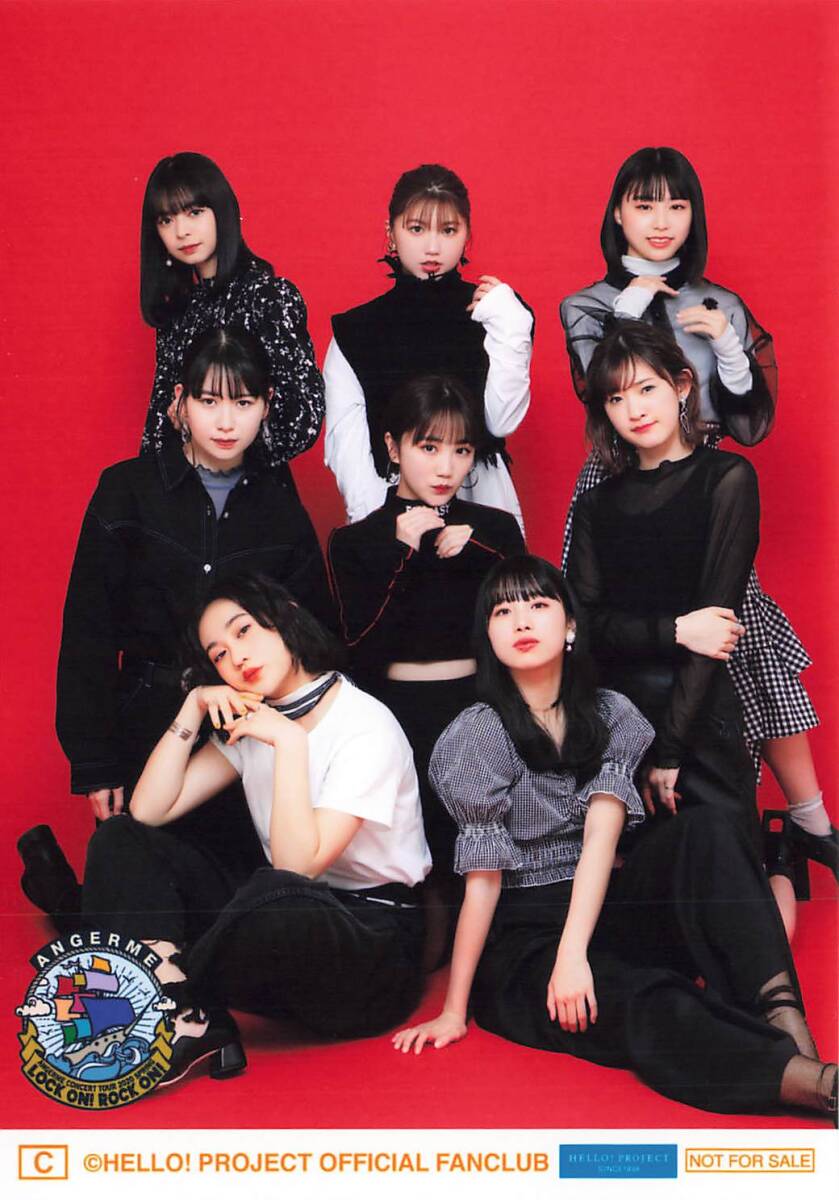 アンジュルム【集合】 FCチケット払い戻し特典 L判生寫(xiě)真Ｃ　コンサートツアー 2020春 LOCK ON！ROCK ON！
