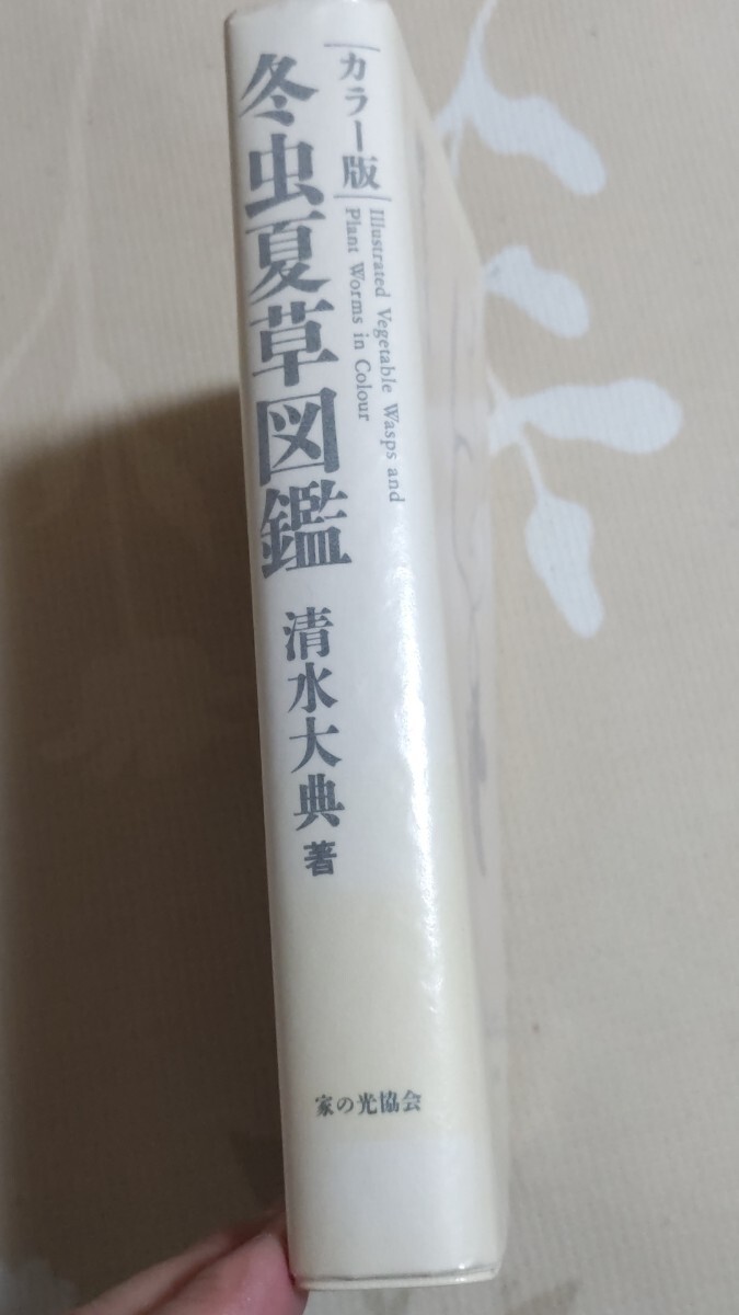 即決☆【338種紹介】清水大典『カラー版・冬虫夏草図鑑』家の光 即決☆【338種紹介】清水大典『カラー版・冬虫夏草図鑑』家の光