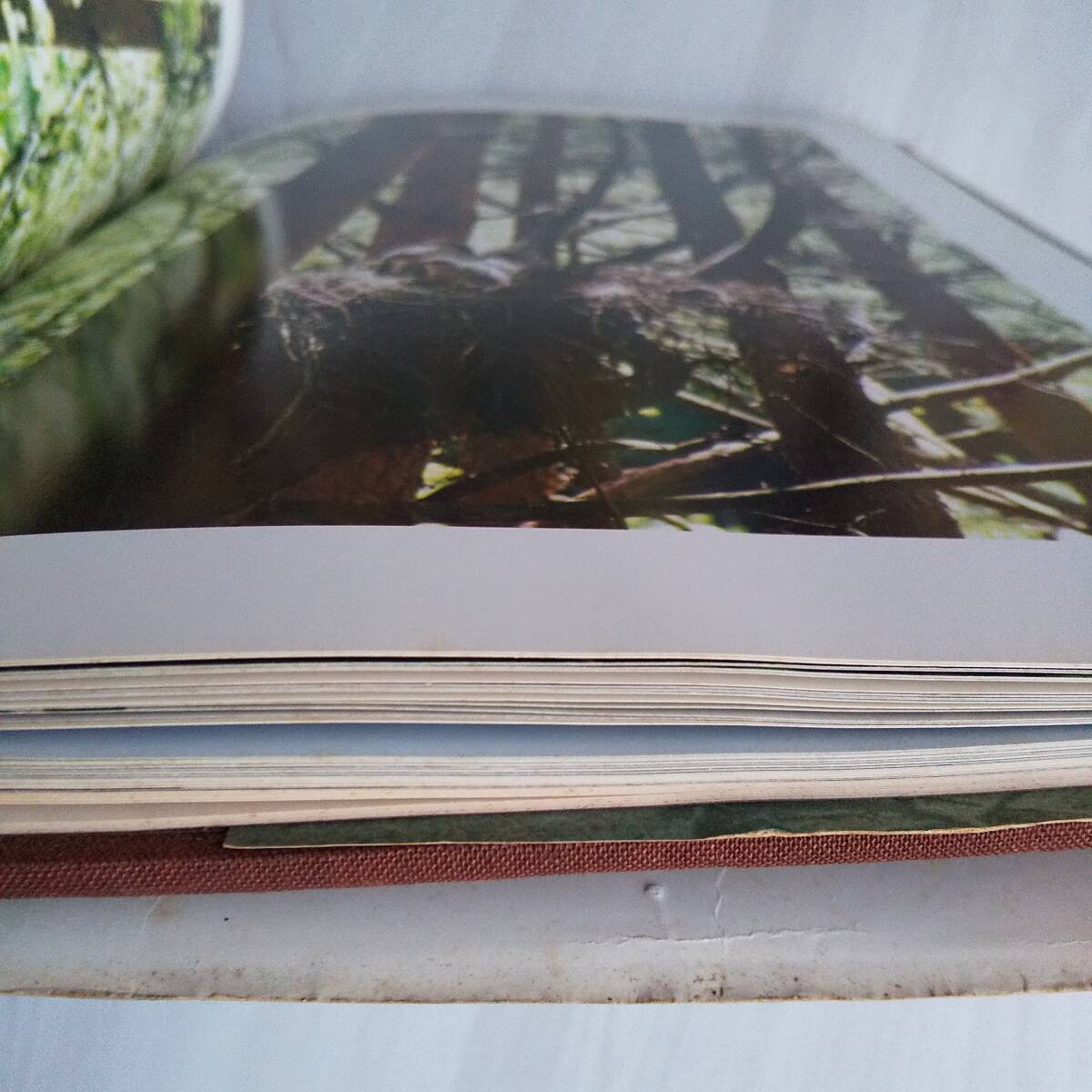item_image_10