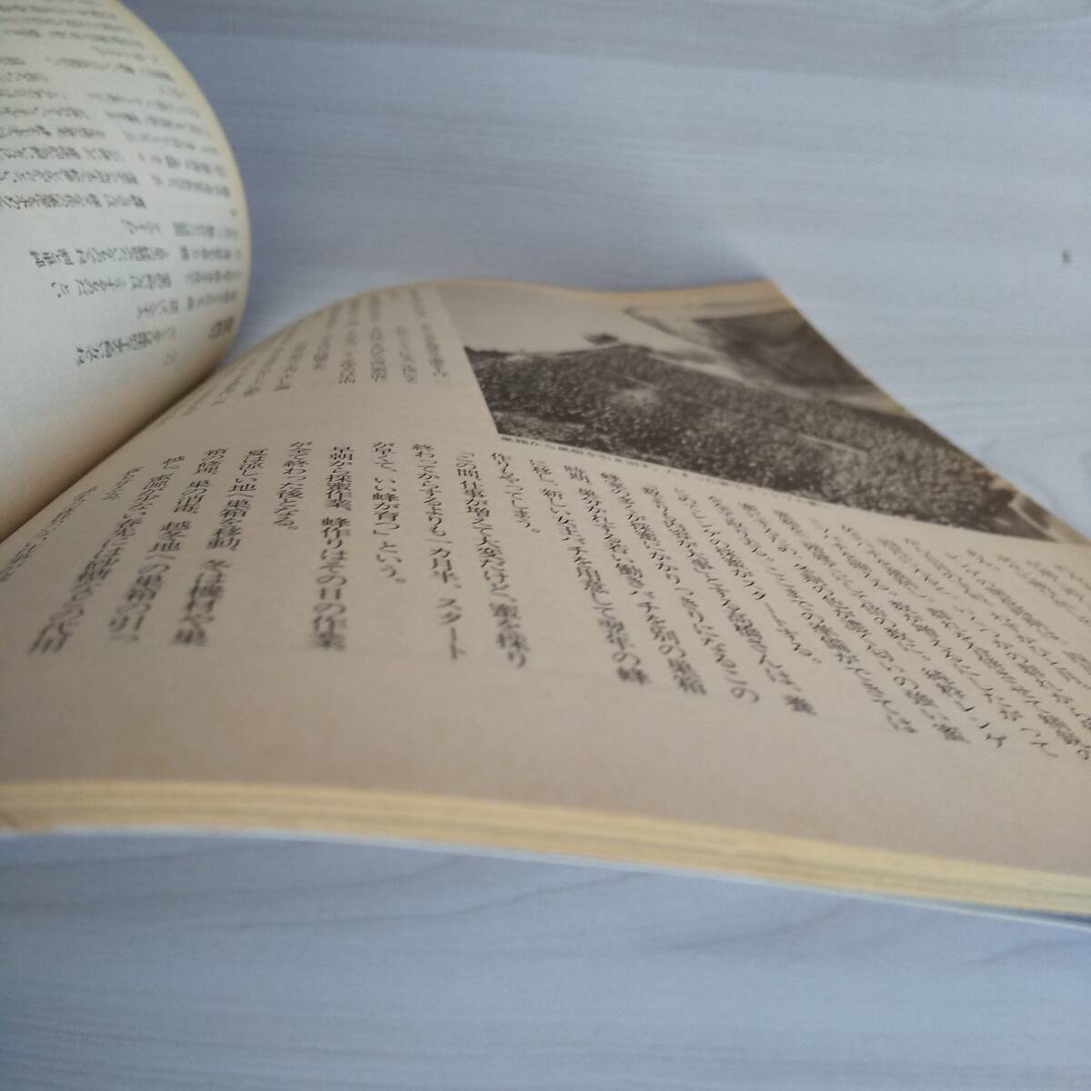  Harima . видно BANCUL van karu1999 год осень номер No.33