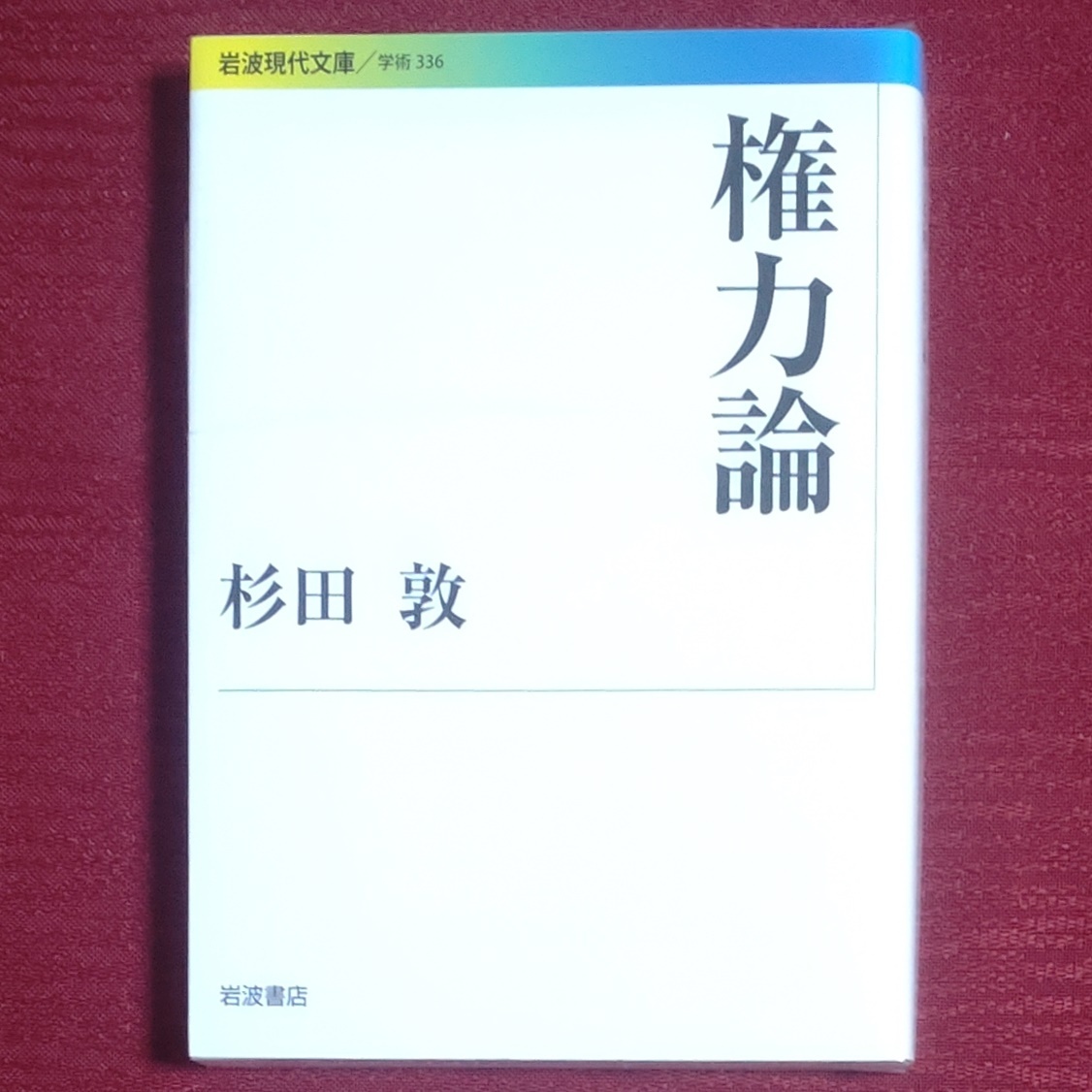 【レア品!!新品未読品】権力論　杉田敦　岩波現代文庫